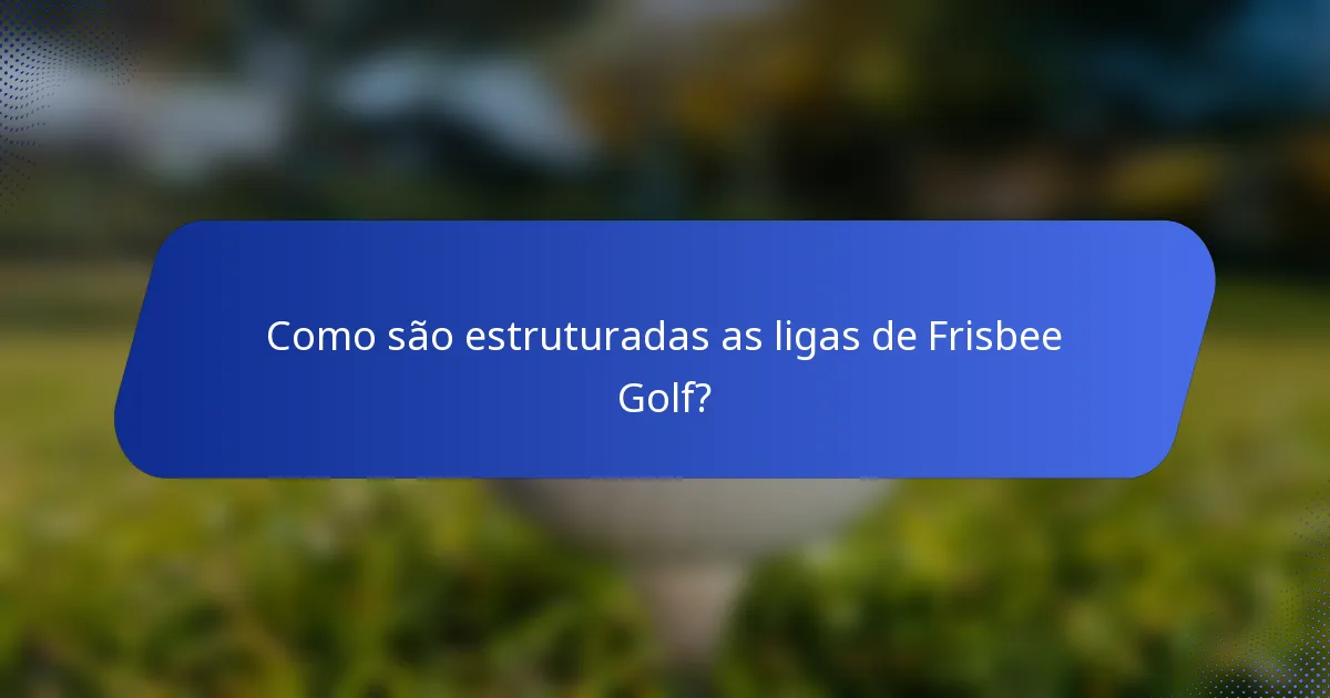 Como são estruturadas as ligas de Frisbee Golf?